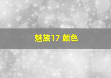 魅族17 颜色